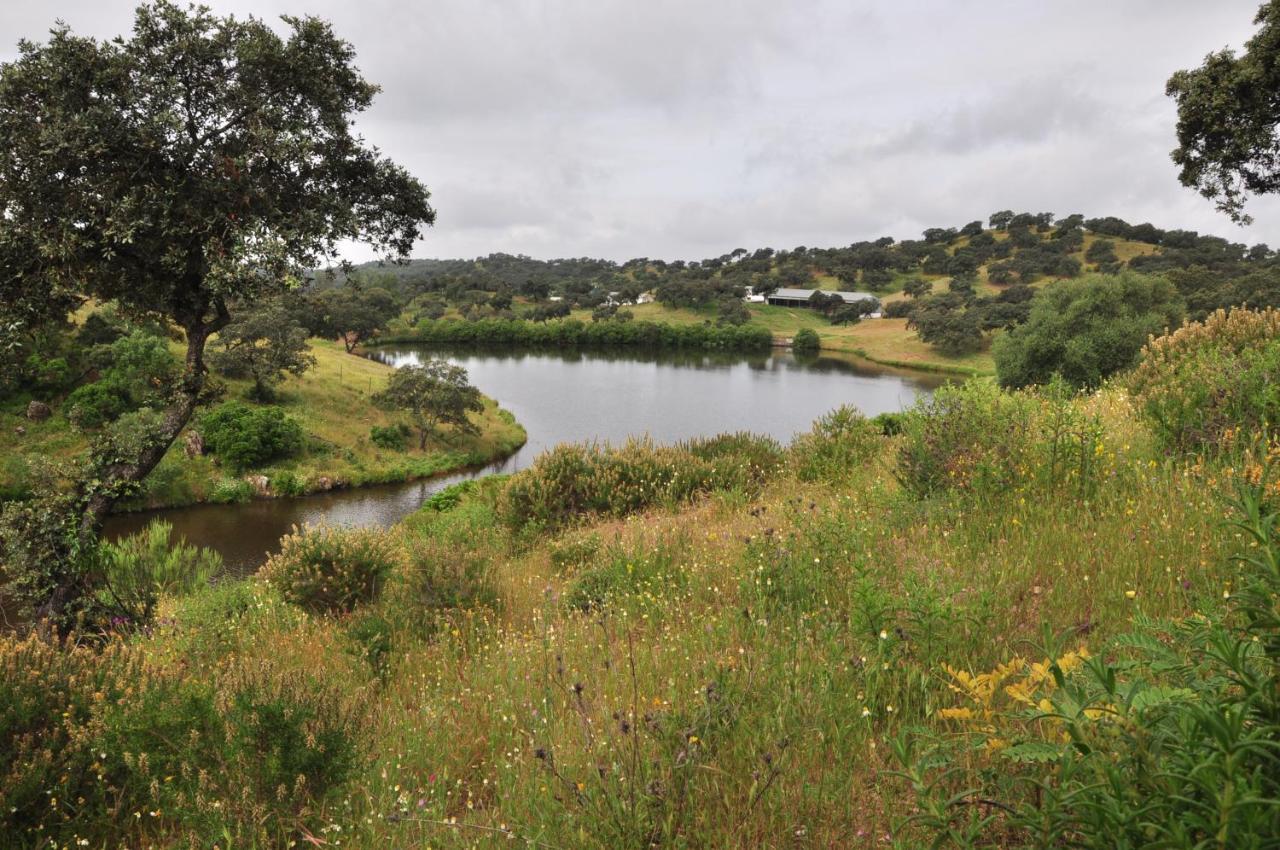 La Rejaquera Villa Villanueva del Río y Minas Kültér fotó