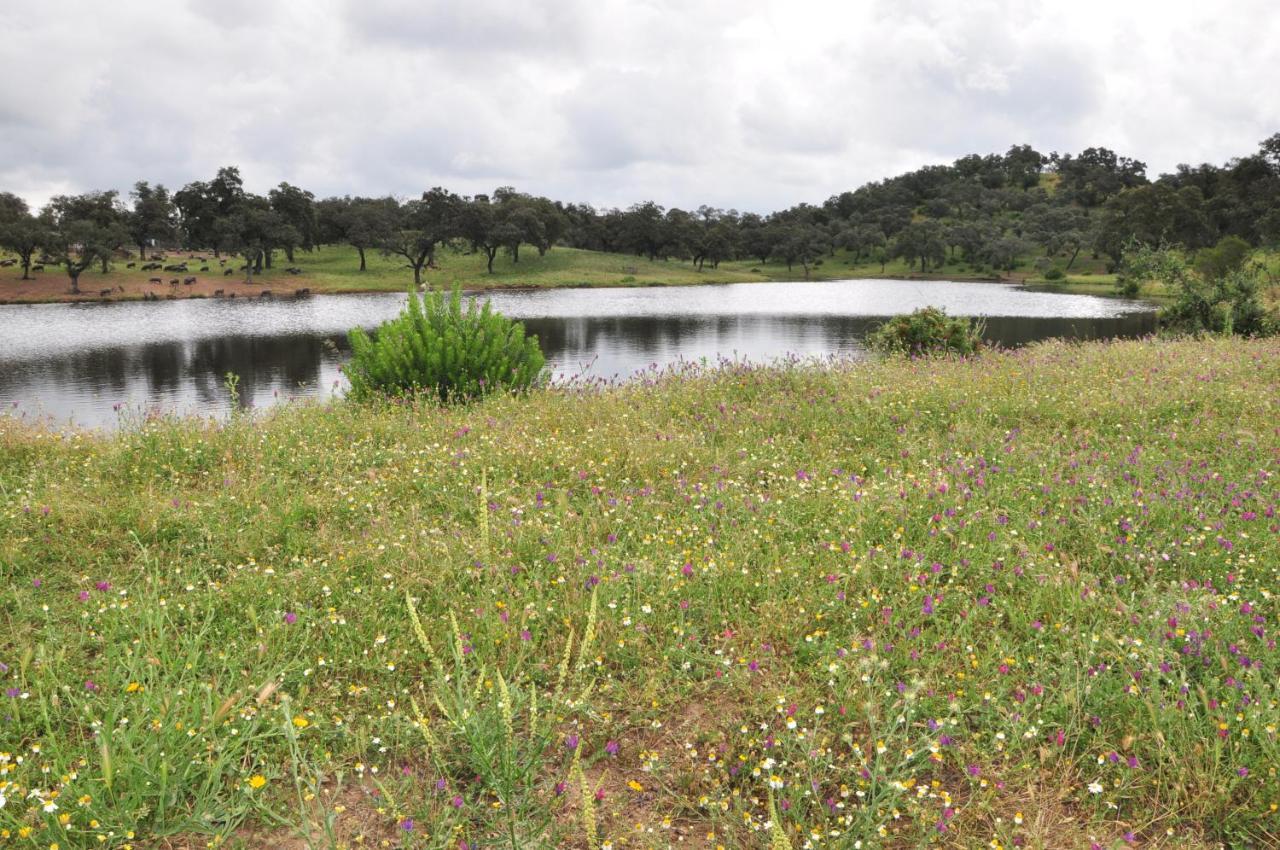 La Rejaquera Villa Villanueva del Río y Minas Kültér fotó