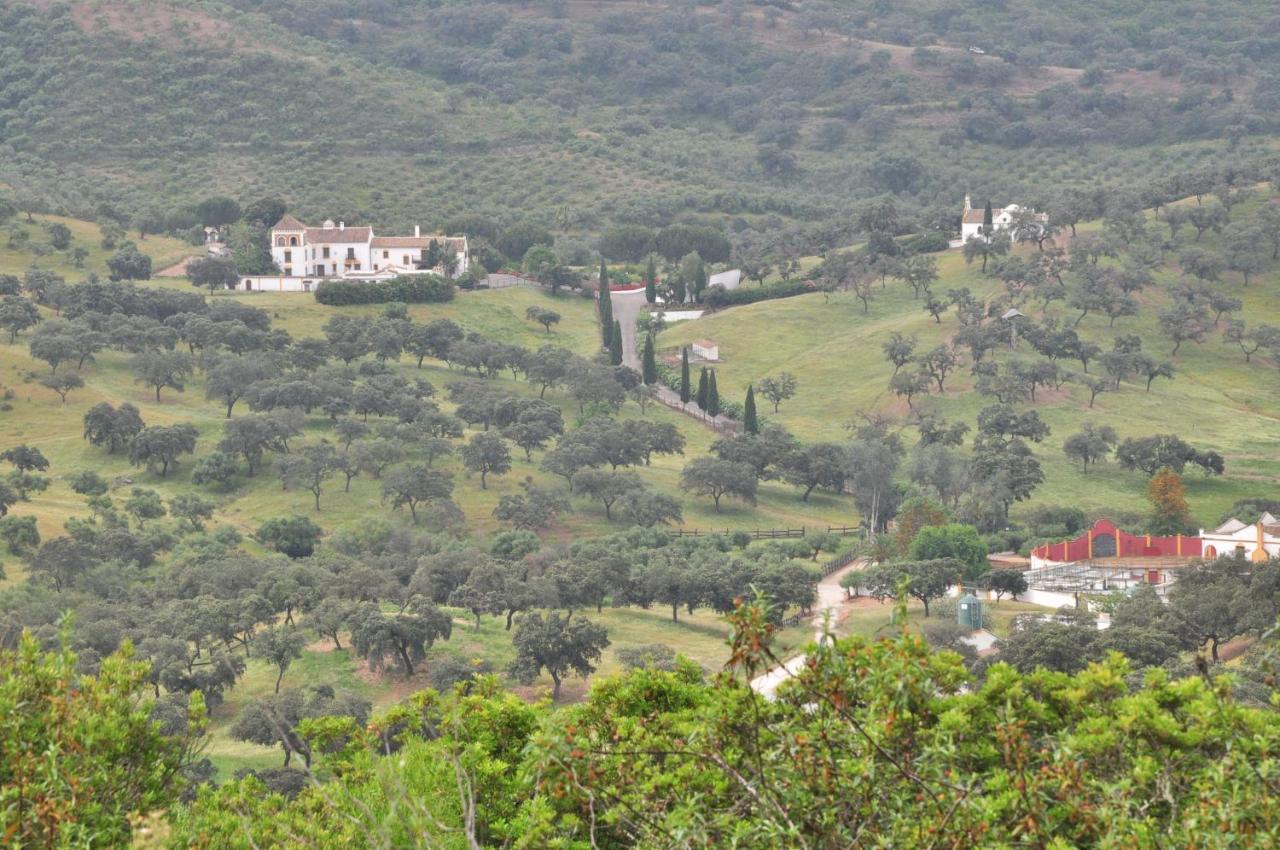 La Rejaquera Villa Villanueva del Río y Minas Kültér fotó