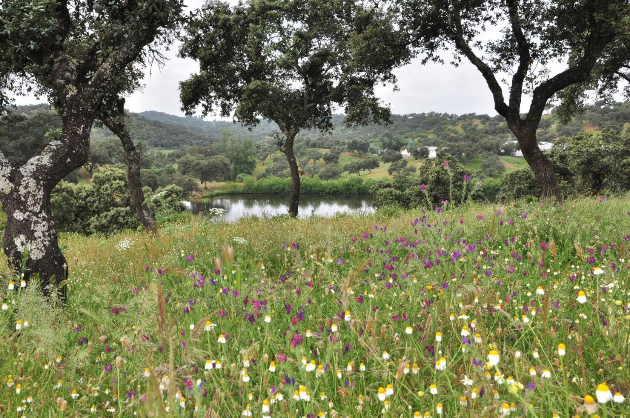 La Rejaquera Villa Villanueva del Río y Minas Kültér fotó